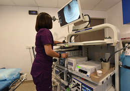 图片Staff works in Procedure Room | Hong Kong Endoscopy Centre